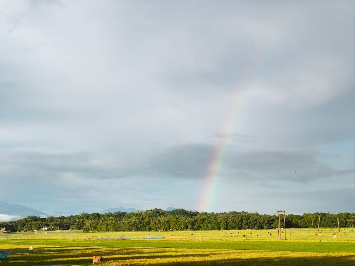 Arc-en-ciel lumineux au-dessus d'un paysage naturel paisible